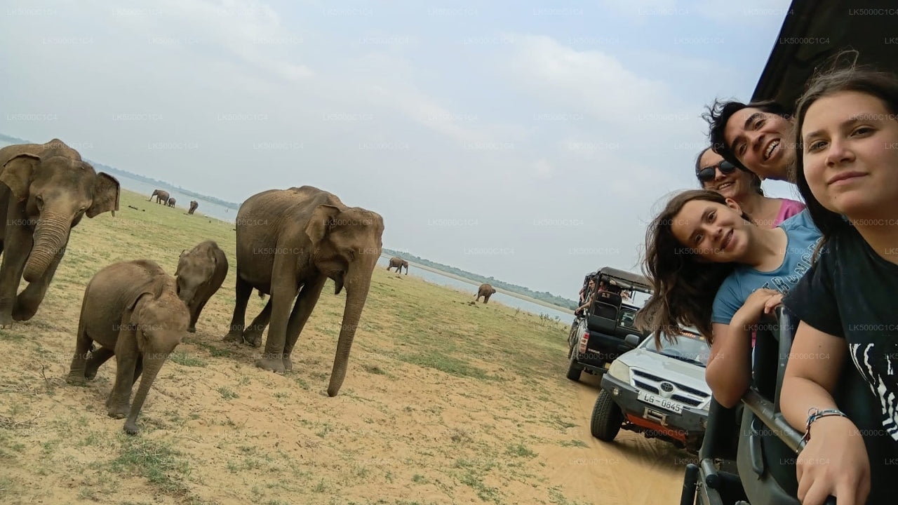 Prywatna wycieczka z Elli do Hiriketiya z Udawalawe Safari