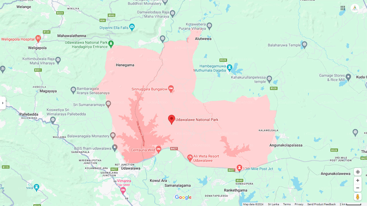 Prywatne safari w Parku Narodowym Udawalawe