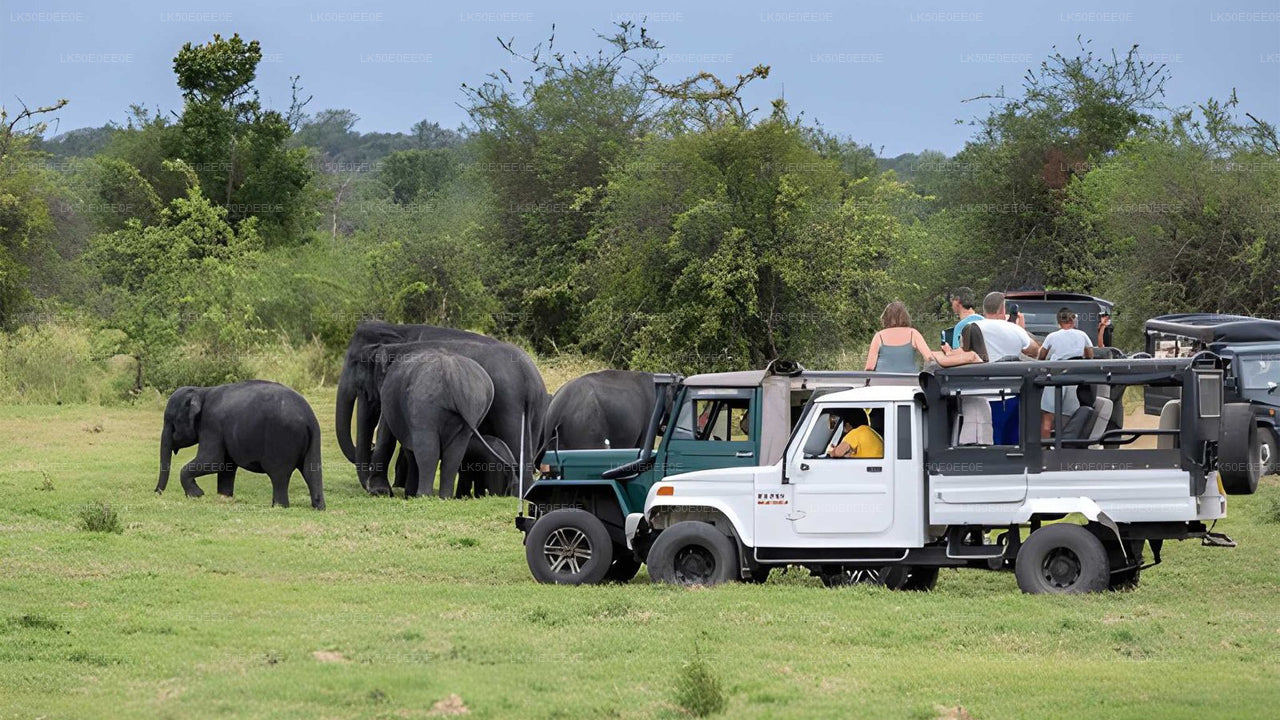 Hurulu Eco Park Prywatne Safari