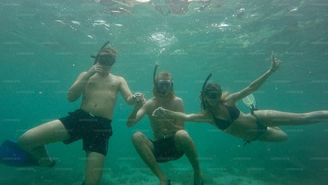 Snorkeling z Ahangamy