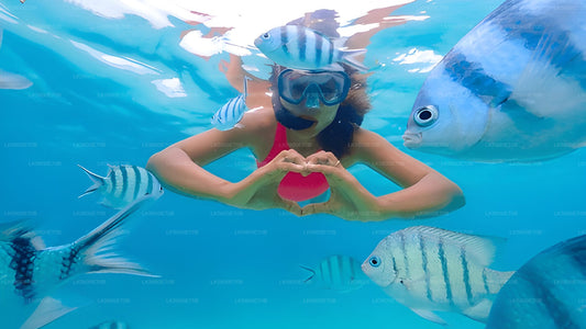 Snorkeling z żółwiami morskimi z Pigeon Island