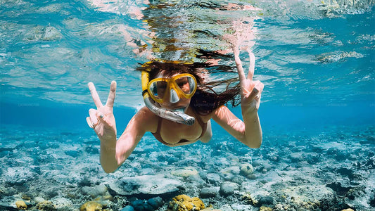 Snorkeling z żółwiami morskimi z Bentoty