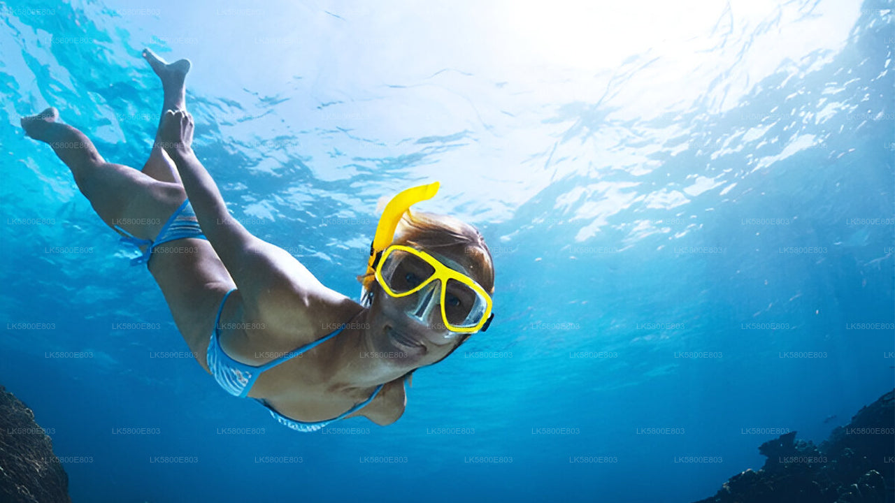 Snorkeling at Pigeon Island from Trincomalee