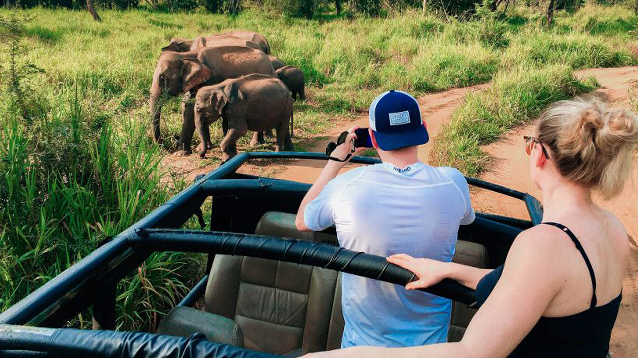 Jednodniowa wycieczka safari do Hurulu Eco Park z Pasikuda