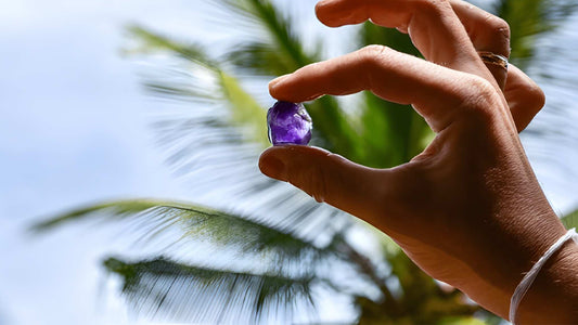 Rolnictwo Sri Lanki, kopalnia klejnotów i doświadczenie wioski przez Cejlon 1850