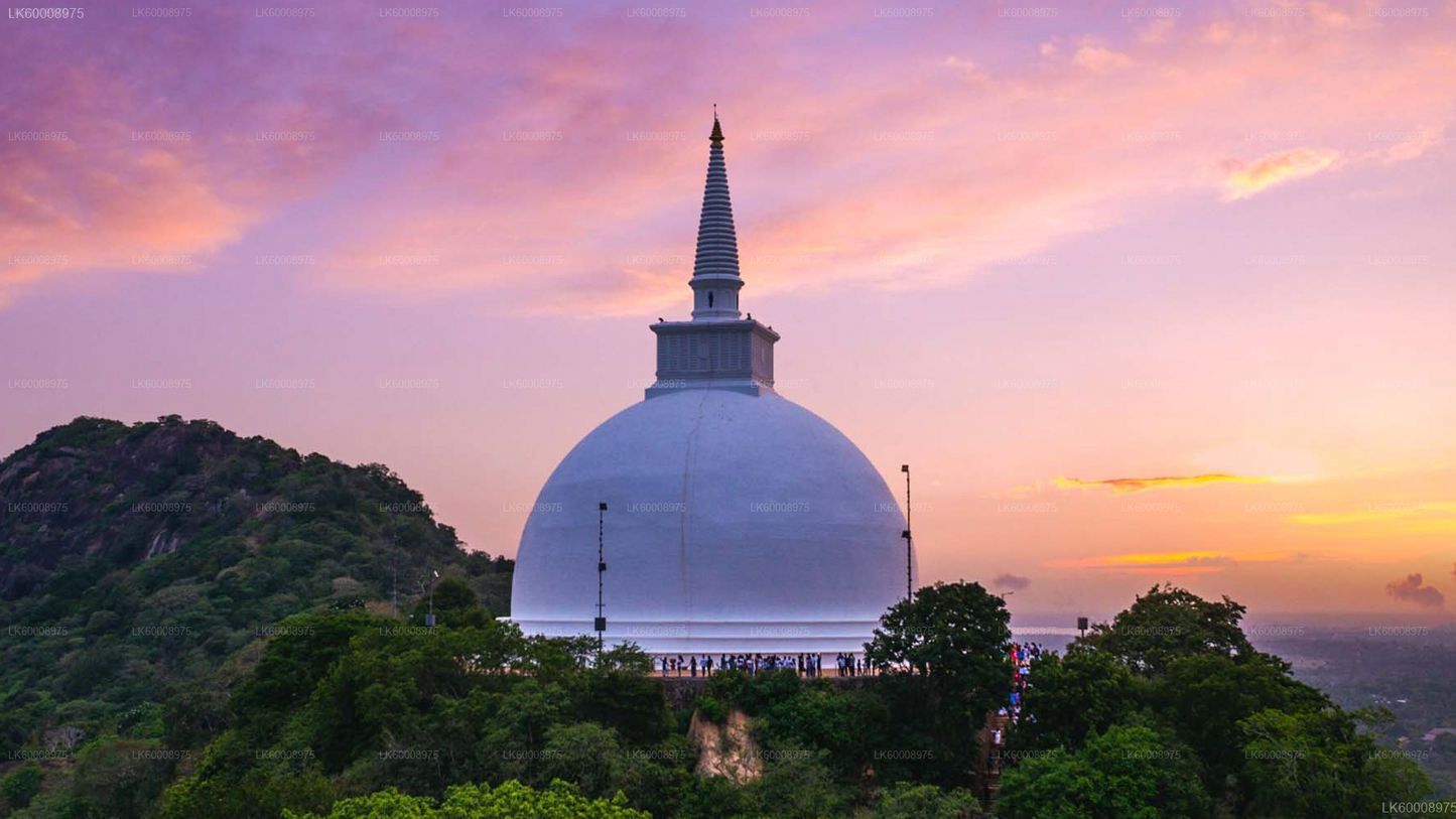 Sacred City of Anuradhapura from Trincomalee