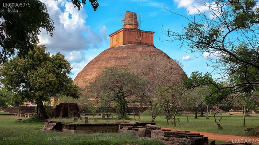 Sacred City of Anuradhapura from Trincomalee