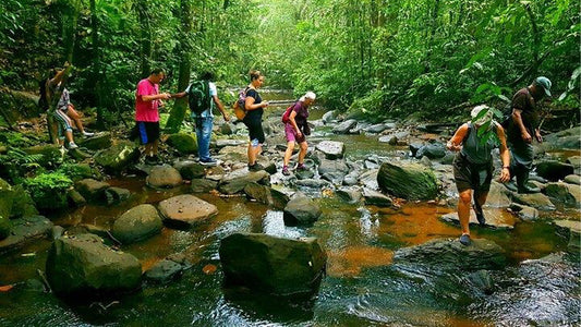 Jednodniowa wycieczka do lasu deszczowego Sinharaja z Ahangama