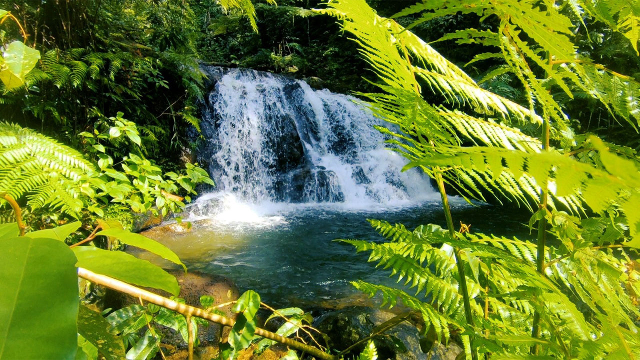 Explore 7 Majestic Waterfalls by Jeep