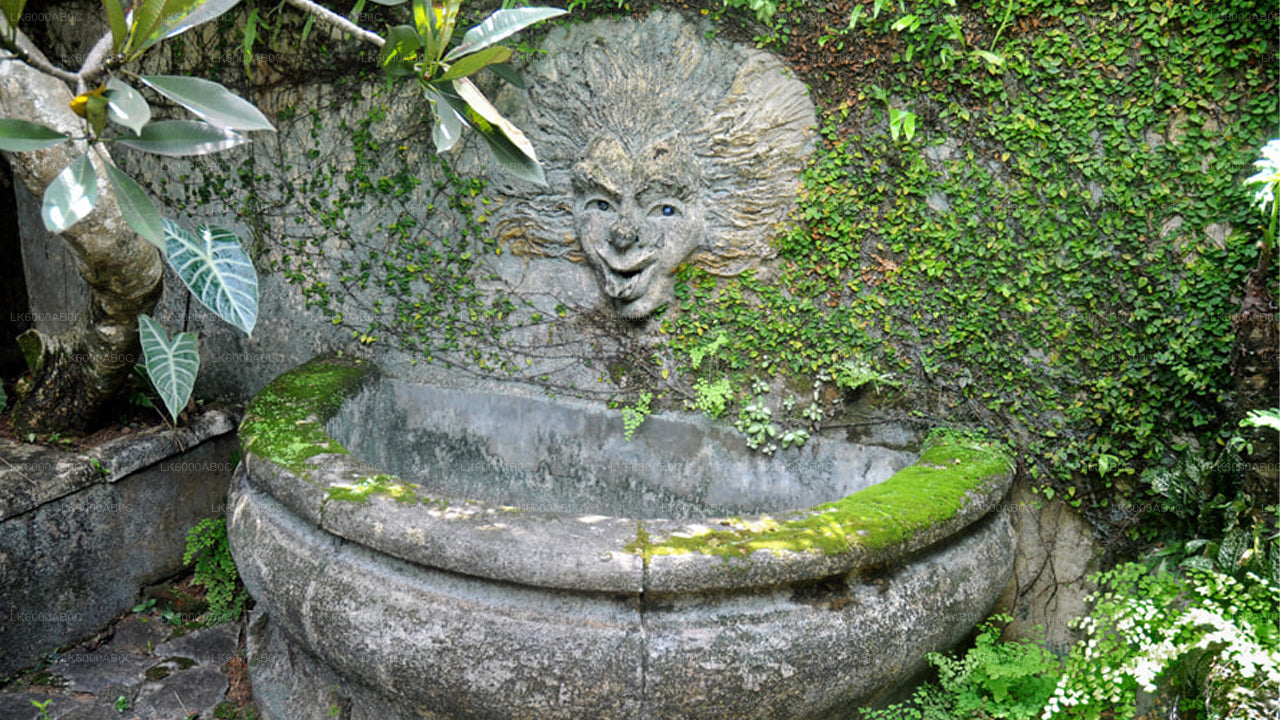 Wycieczka po mieście Bentota i Galle z Beruwali