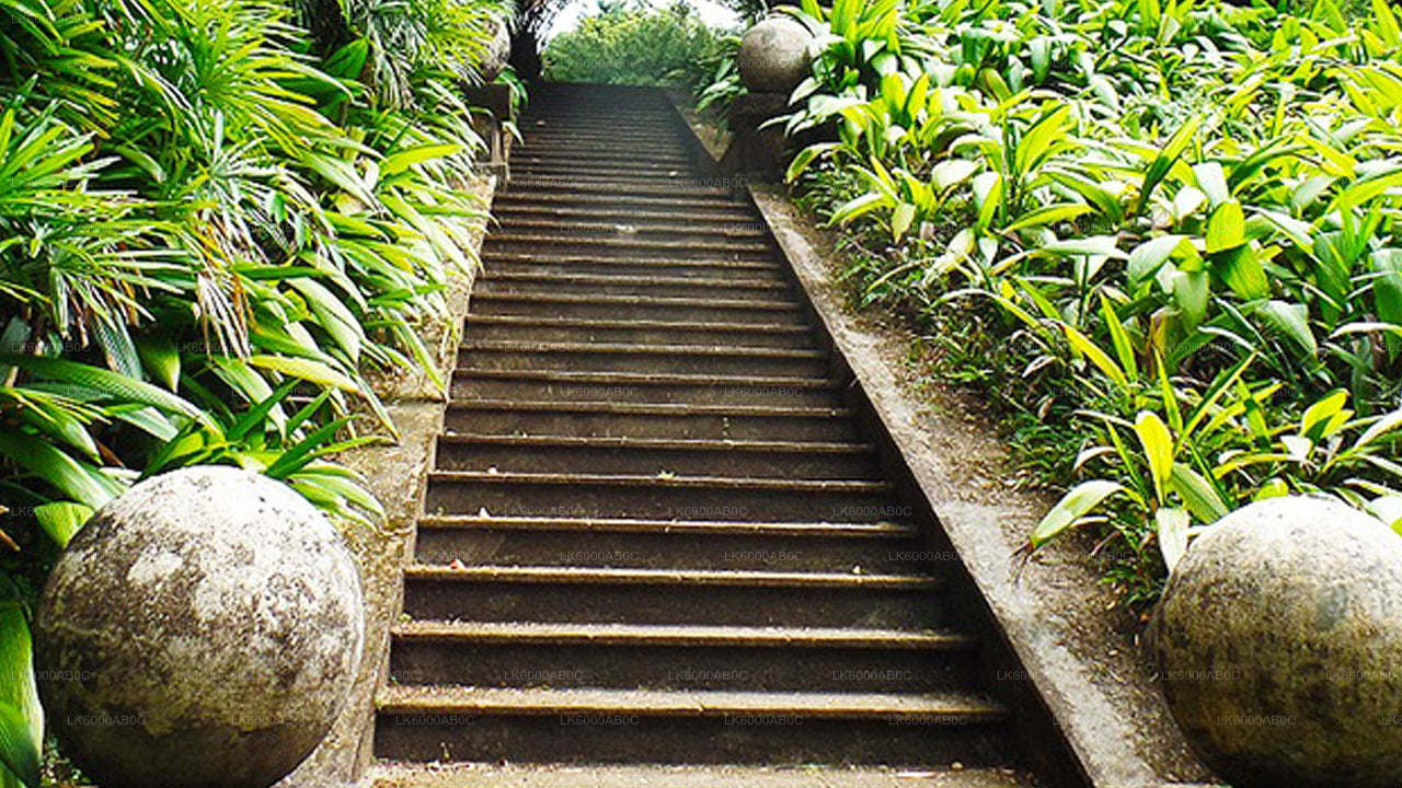 Wycieczka po mieście Bentota i Galle z Beruwali