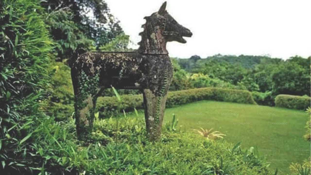 Wycieczka po mieście Bentota i Galle z Beruwali