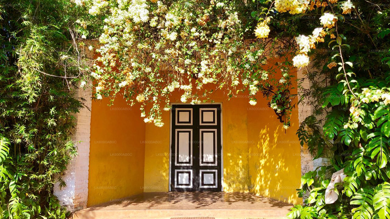 Wycieczka po mieście Bentota i Galle z Beruwali