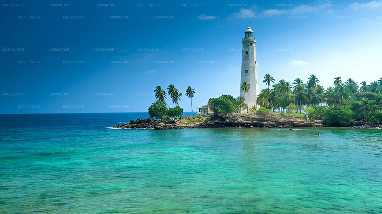 Southern Coast Highlights from Kosgoda