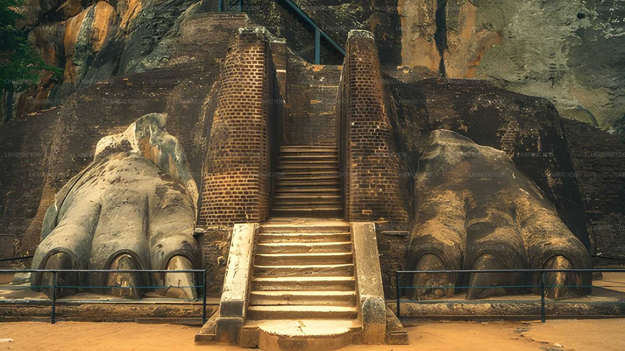Skała Sigiriya, wrażenia z wioski i safari dzikiej przyrody z Pasikuda