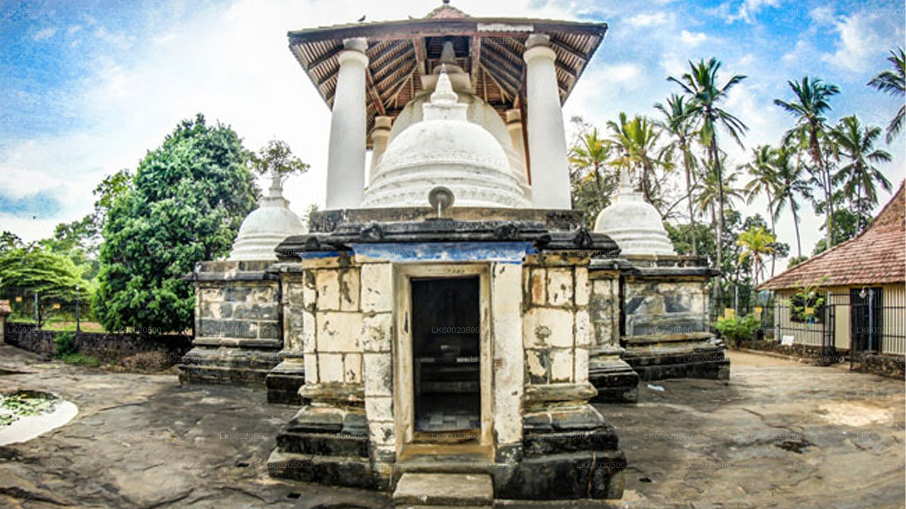 Wycieczka Temple Run z Kandy