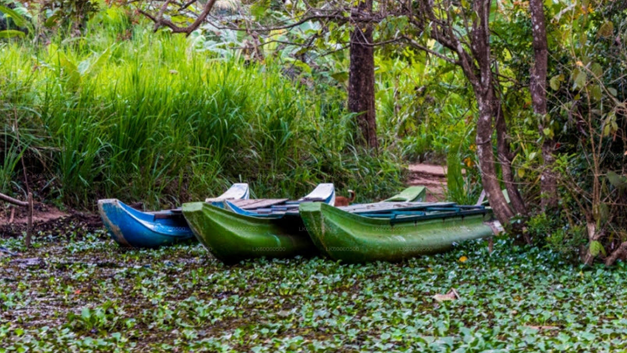 Wycieczka do wioski Hiriwadunna z Habarany