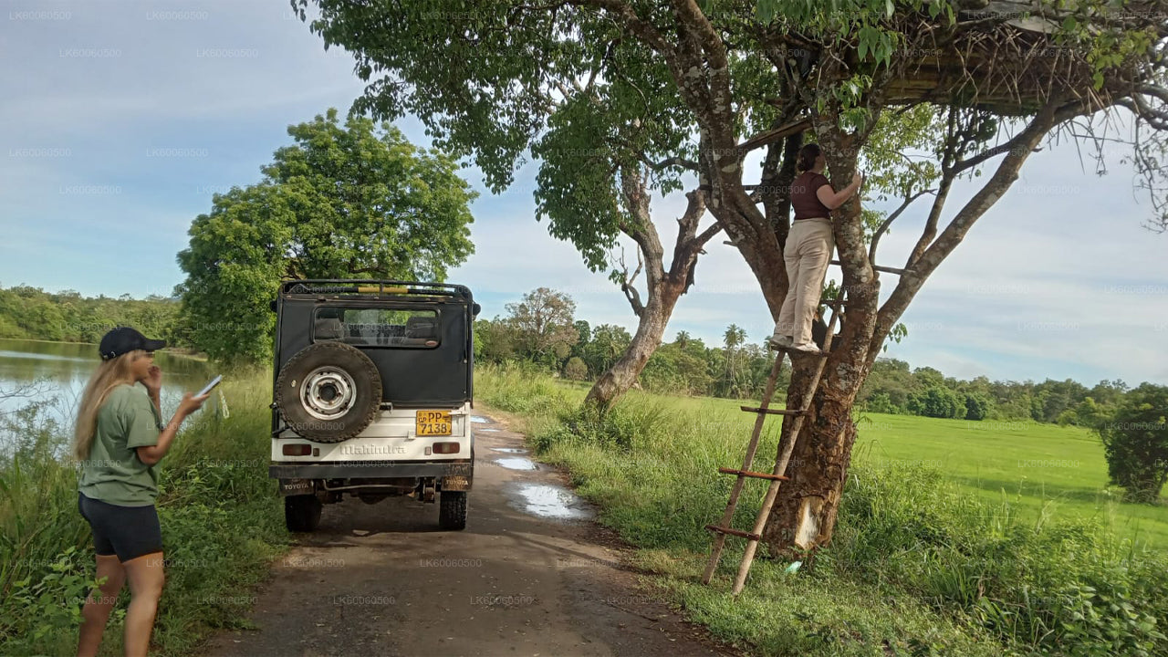 Wycieczka do wioski Hiriwadunna z Habarany