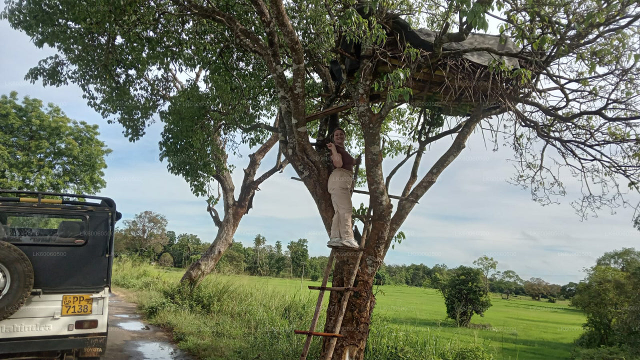 Wycieczka do wioski Hiriwadunna z Habarany