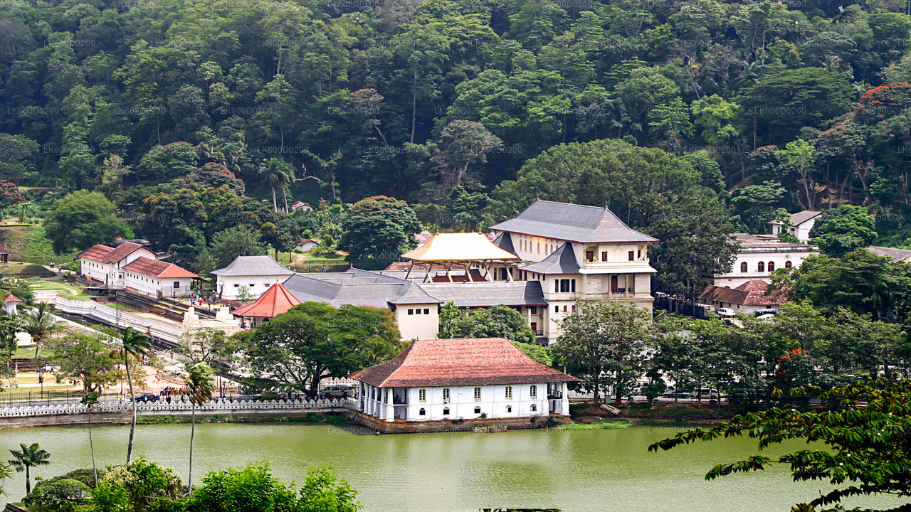 Kandy City Tour From Ahungalla