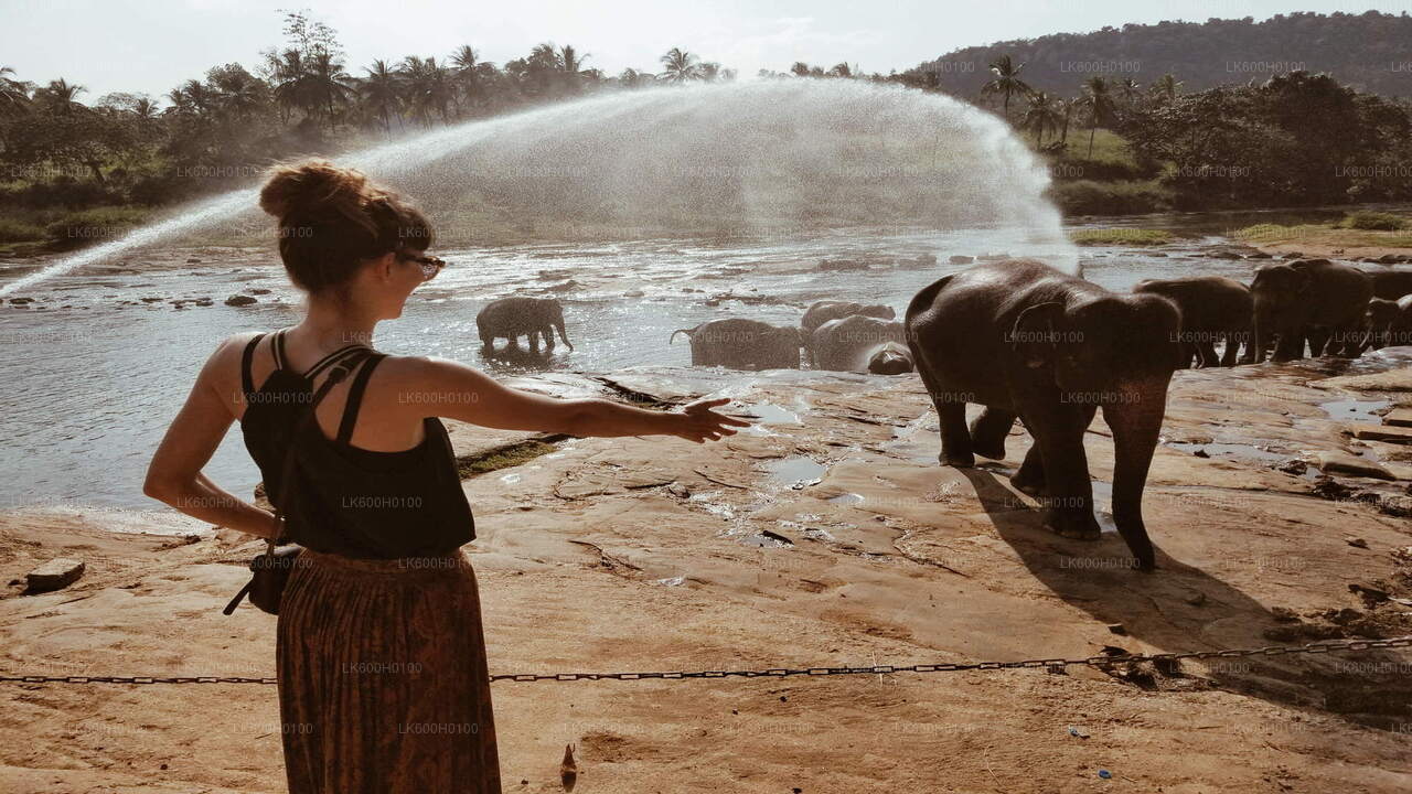 Wycieczka po mieście Kandy z Kitulgala