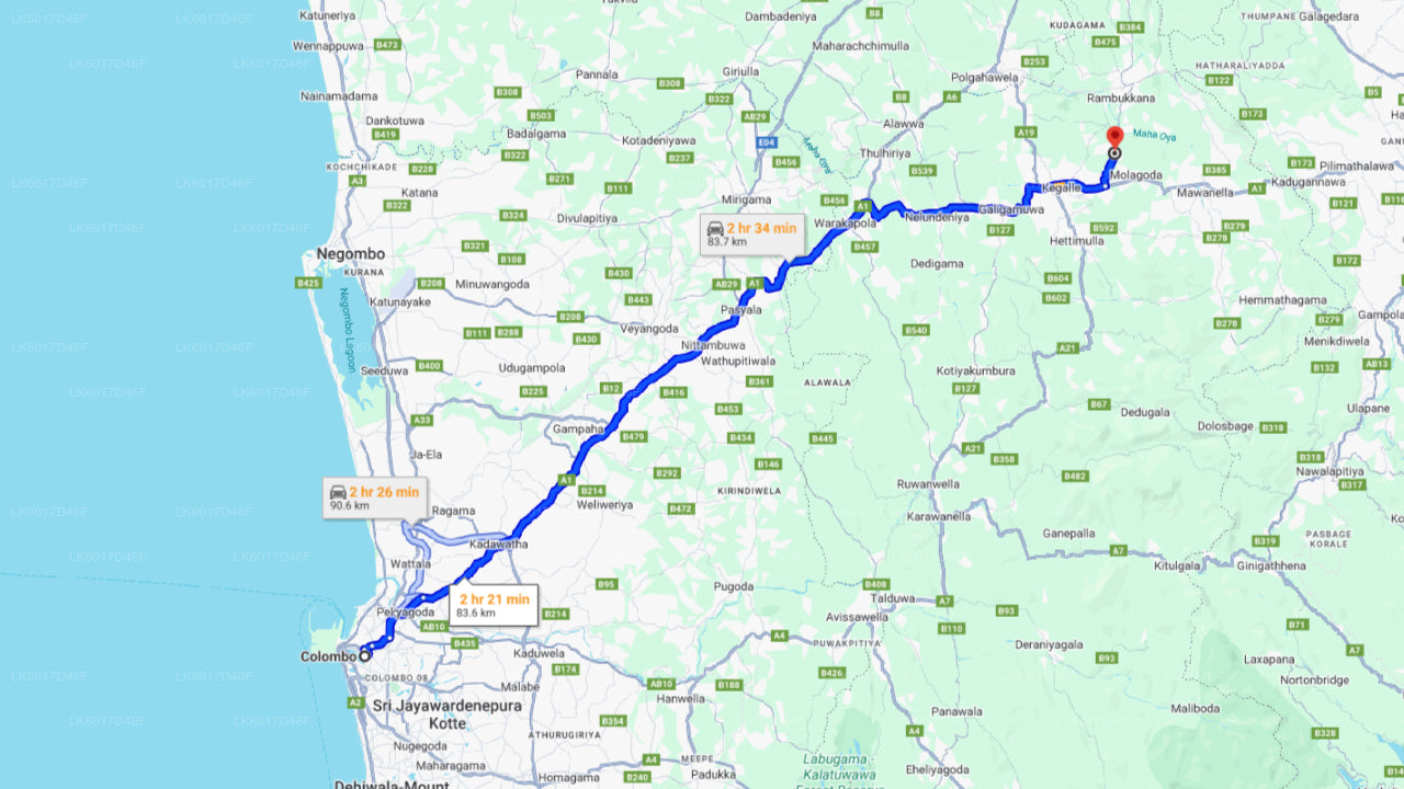 Fundacja Millennium Elephant z Kolombo