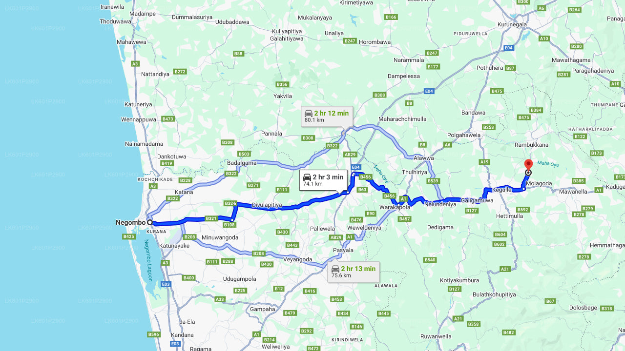 Fundacja Millennium Elephant z Negombo