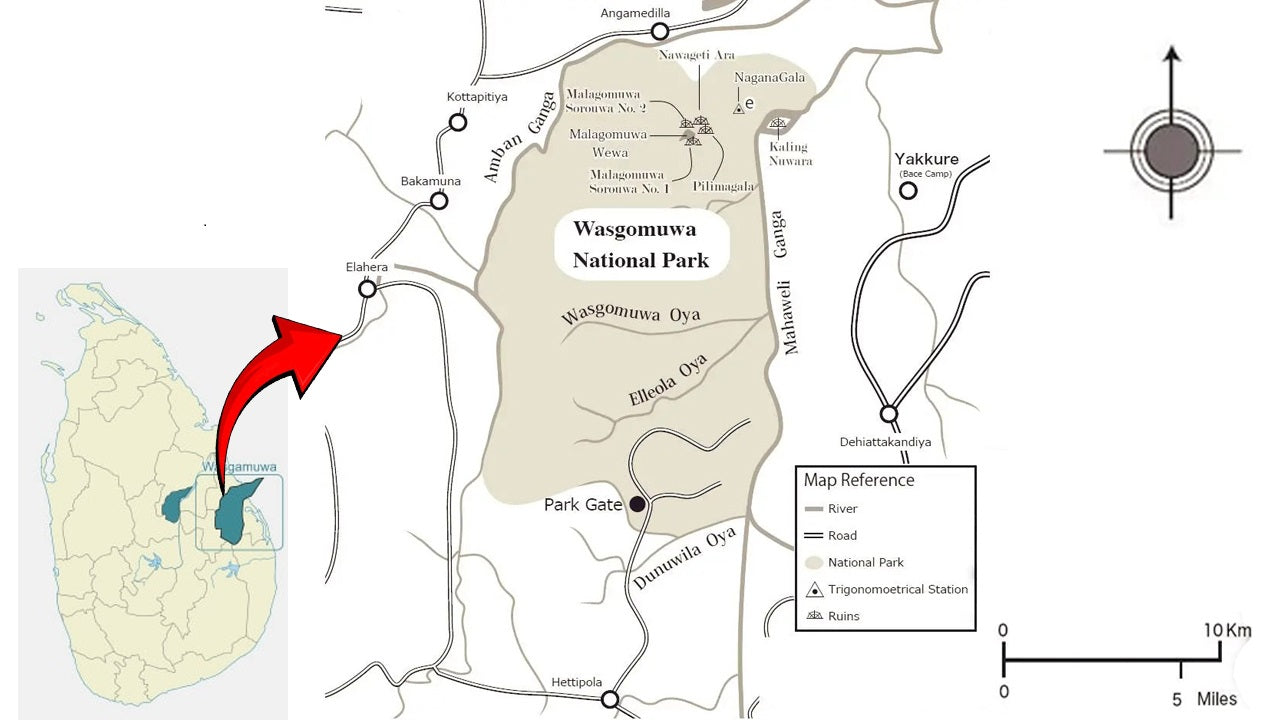 Safari w Parku Narodowym Wasgamuwa z Polonnaruwy