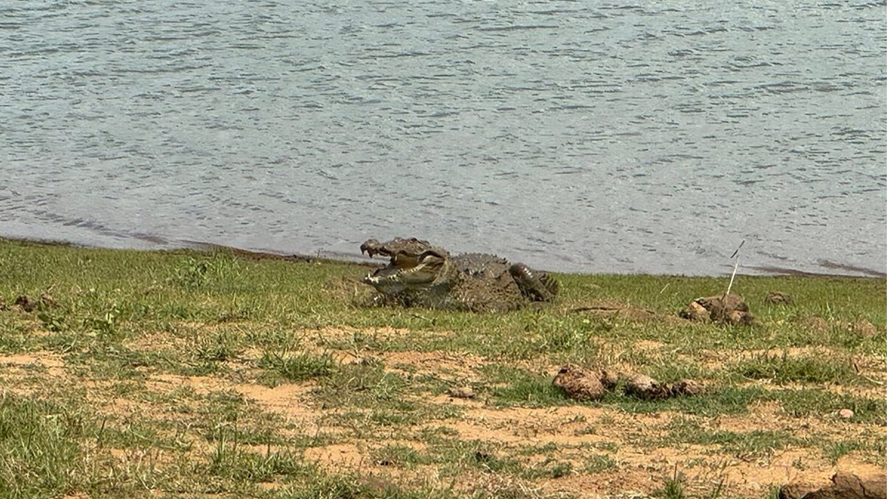 Park Narodowy Udawalawe Safari z Mirissa