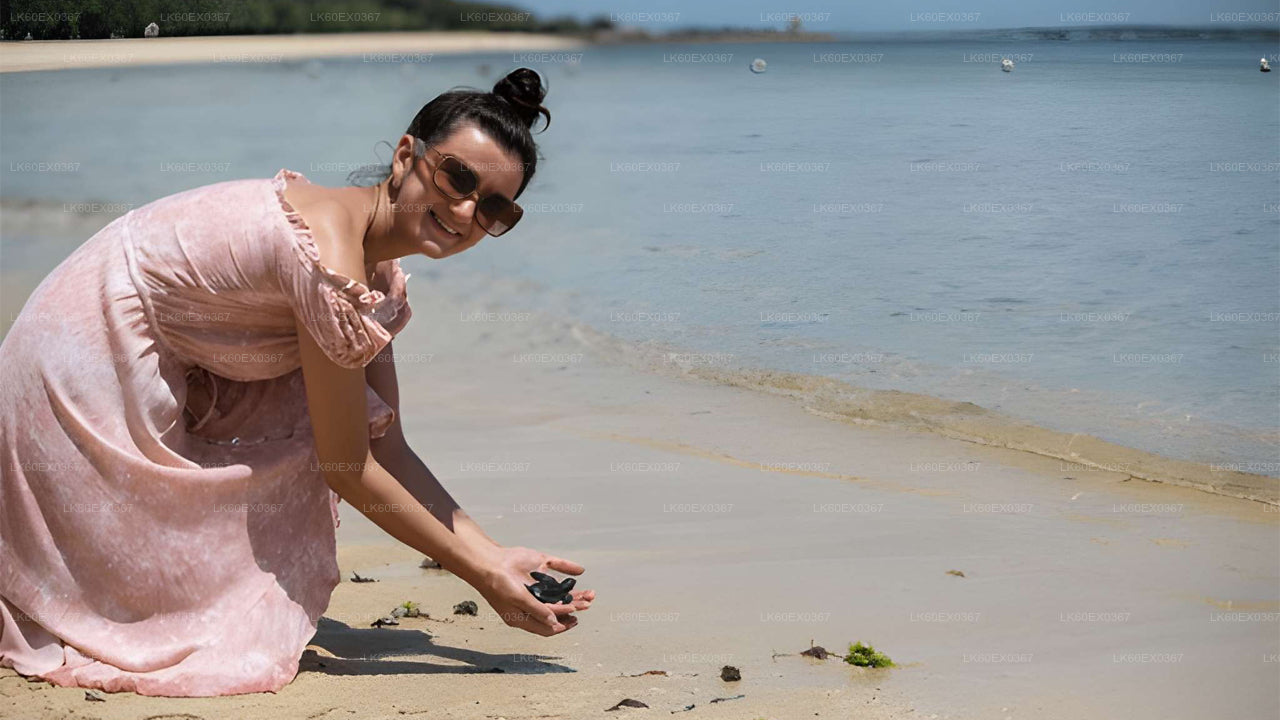 Baby Turtle Release from Induruwa