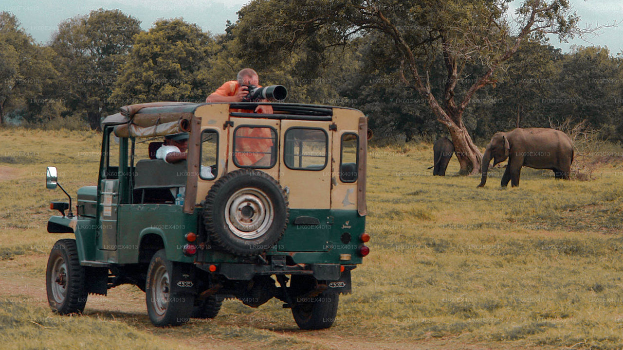 Prywatna wycieczka z Mirissa do Ella z Udawalawe Safari
