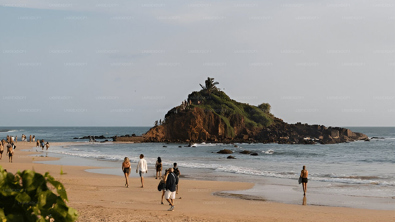 Prywatna wycieczka z Elli do Mirissa z Udawalawe Safari