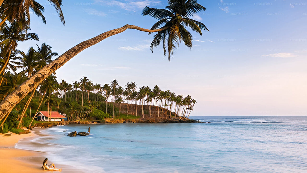 Prywatna wycieczka z Elli do Mirissa z Udawalawe Safari