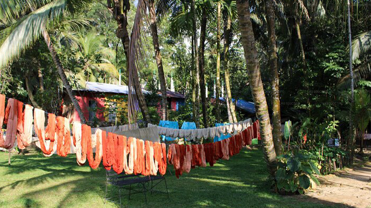 Odkryj ukryte perełki Galle i jedz z lokalnymi mieszkańcami