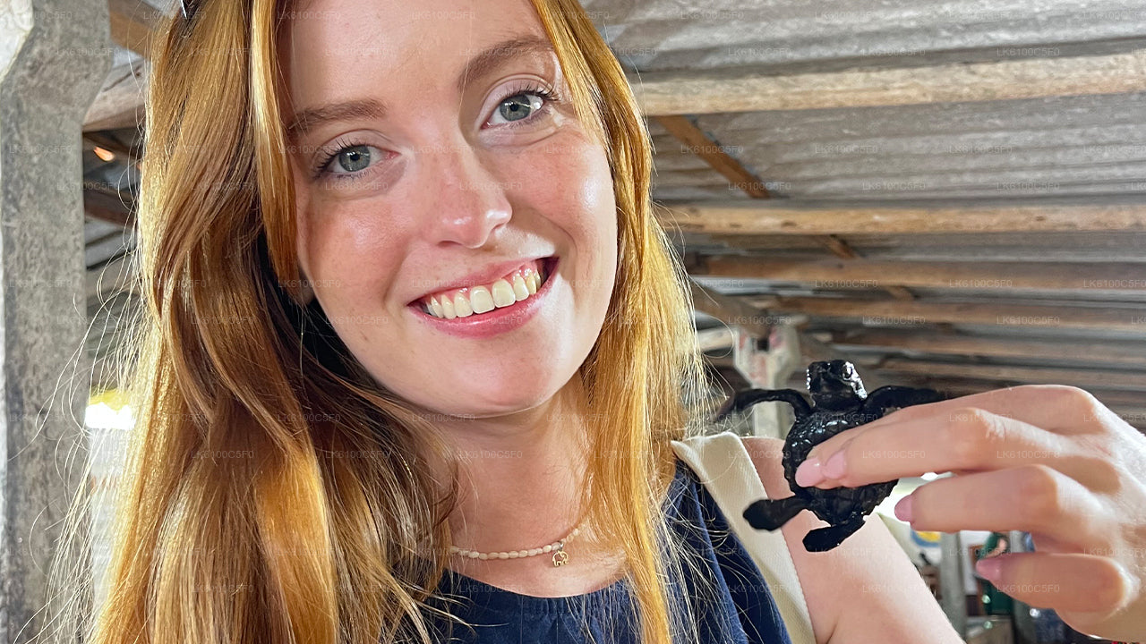 Odkryj ukryte perełki Galle i jedz z lokalnymi mieszkańcami