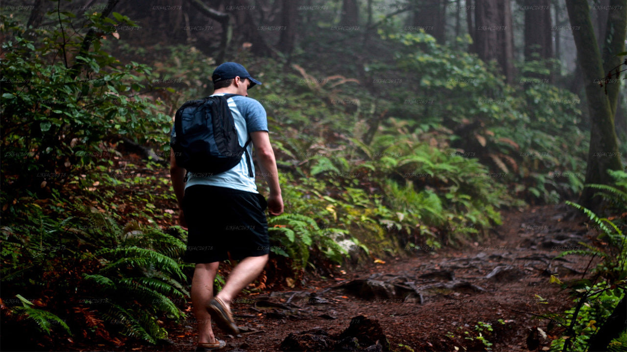 Wycieczka przygodowa po lesie deszczowym Sinharaja