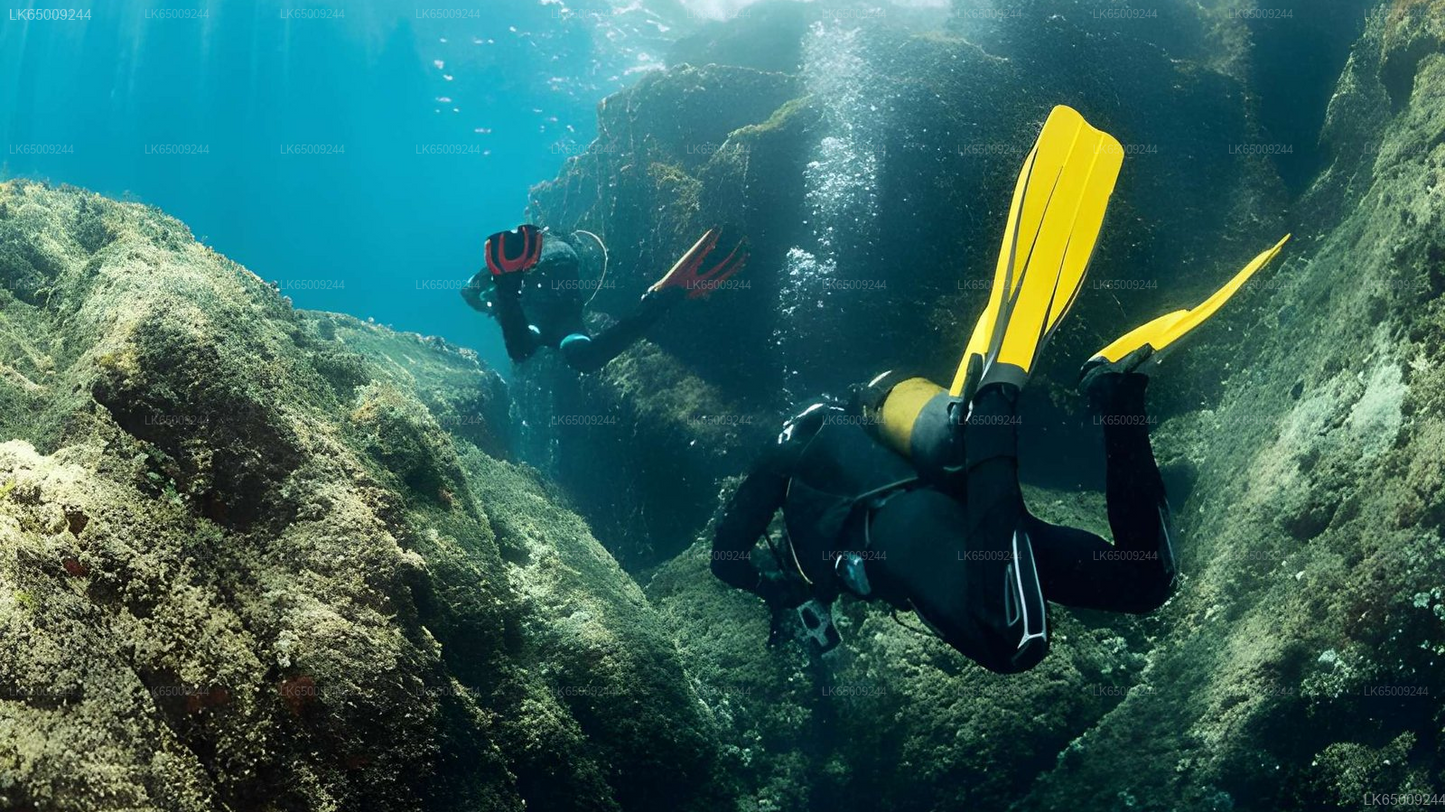 Scuba Diving from Mirissa