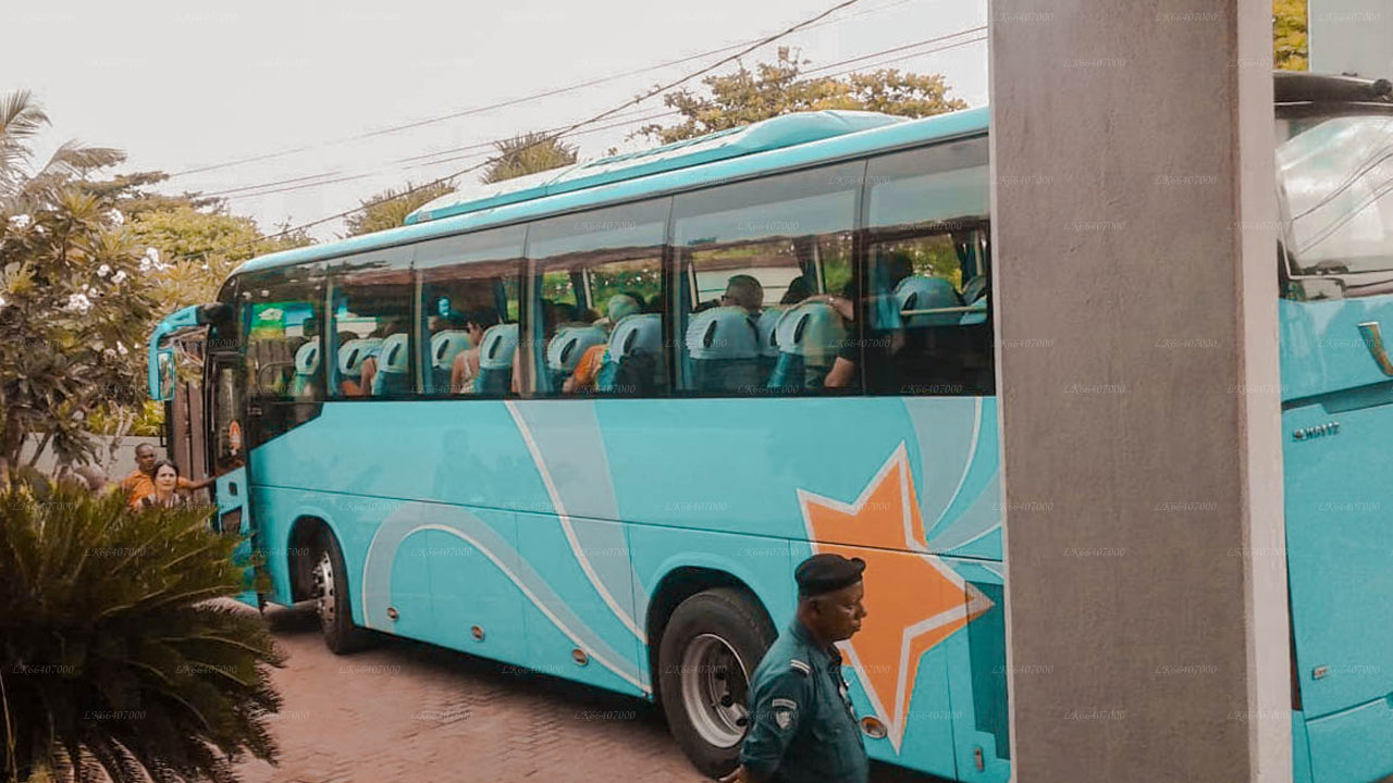 Nilaveli City to Ella City Private Transfer