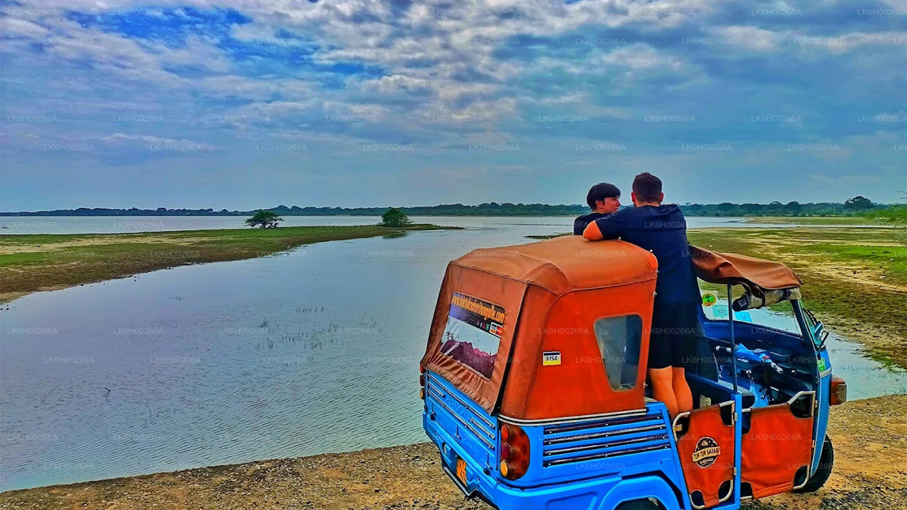 Safari tuk tukiem na południowym wybrzeżu z Galle