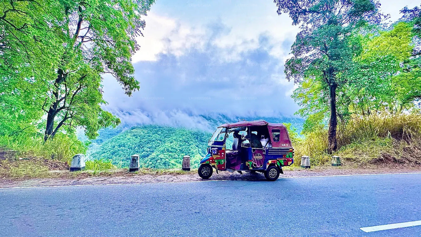 Safari tuk tukiem na południowym wybrzeżu z Galle