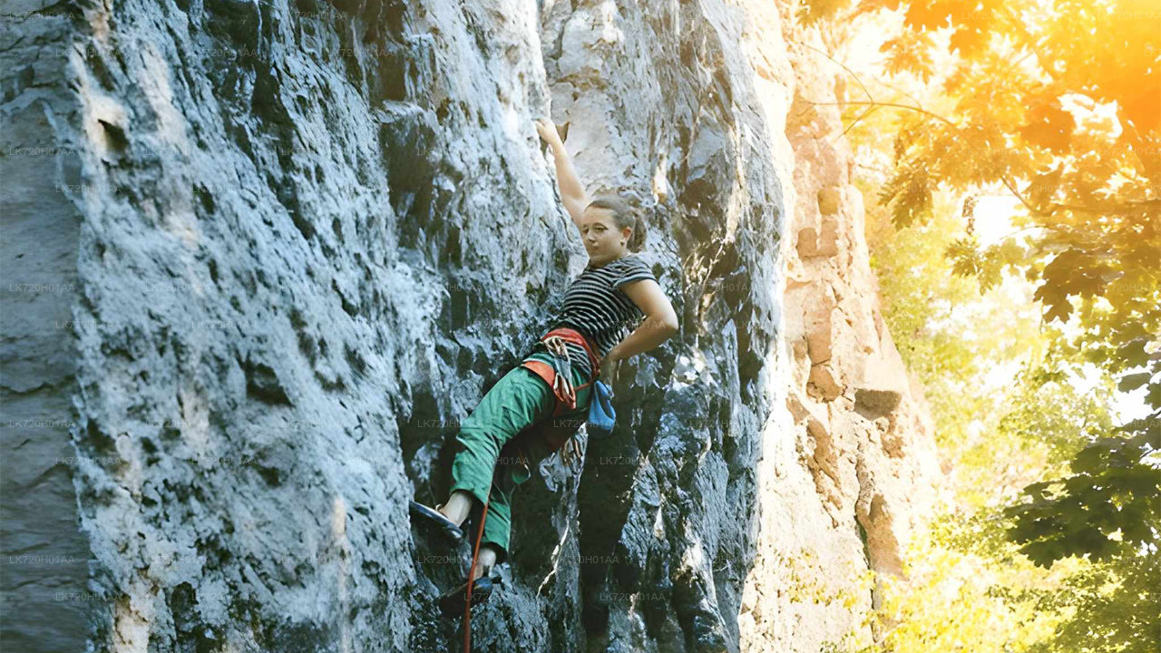 Person climbing a waterfall with sunlight filtering through trees