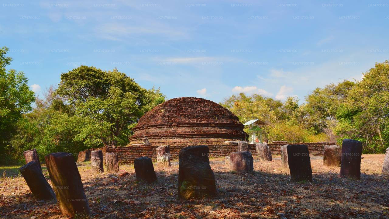 Wycieczka do Danigala Circular Rock z Aaralaganwila