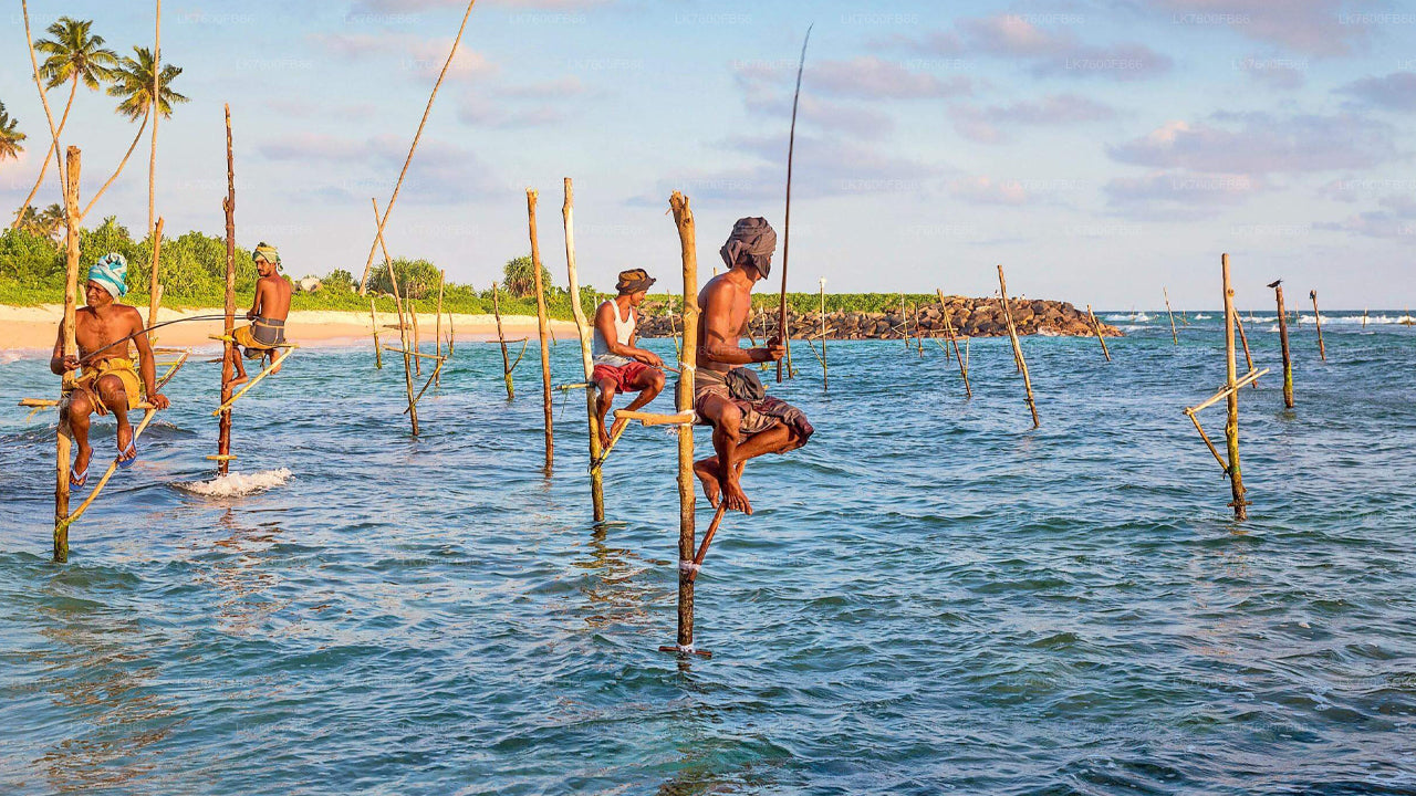 Wycieczka wędkarska z Galle