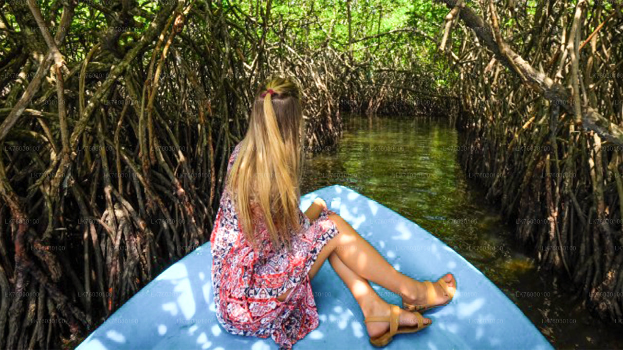 Wycieczka po mieście Bentota i Galle z Beruwali