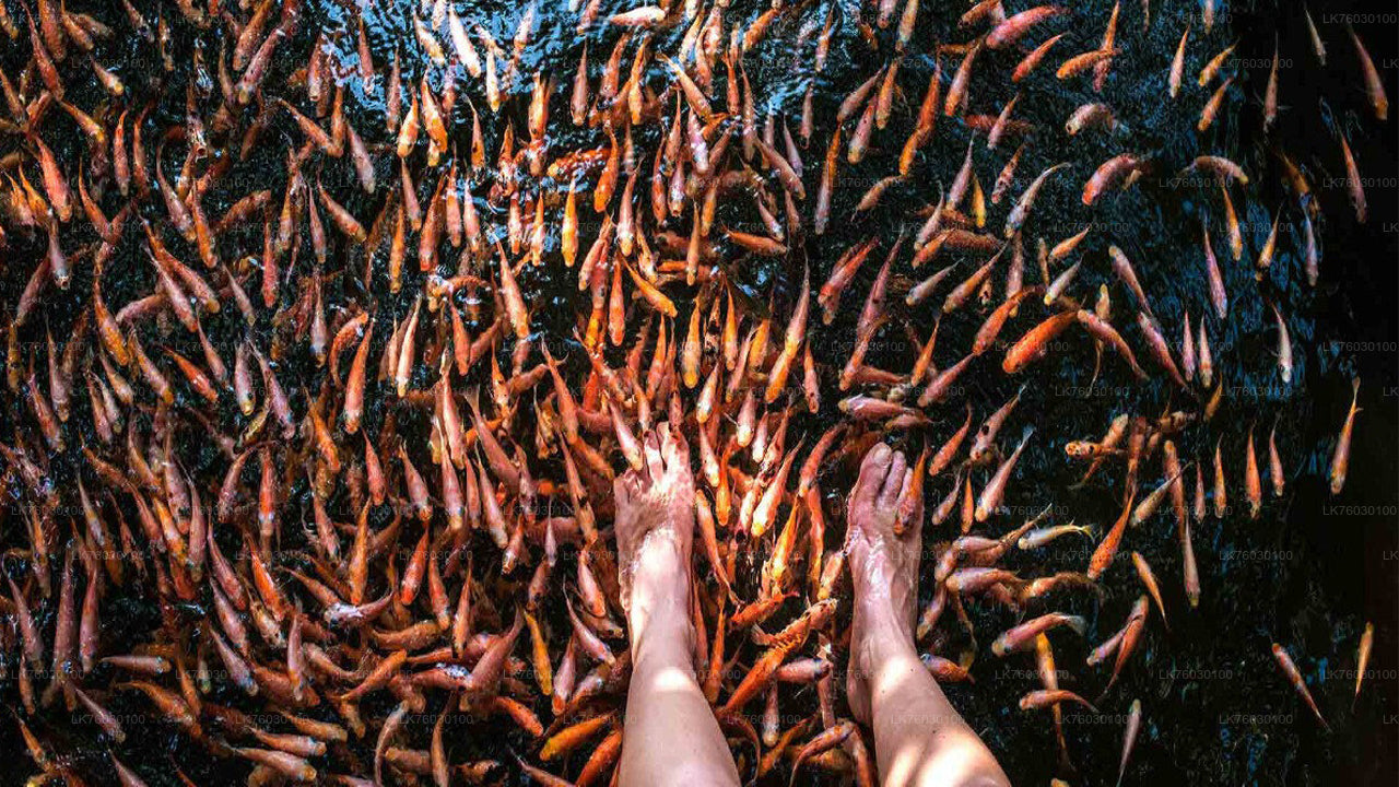 Safari łodzią po rzece Madu