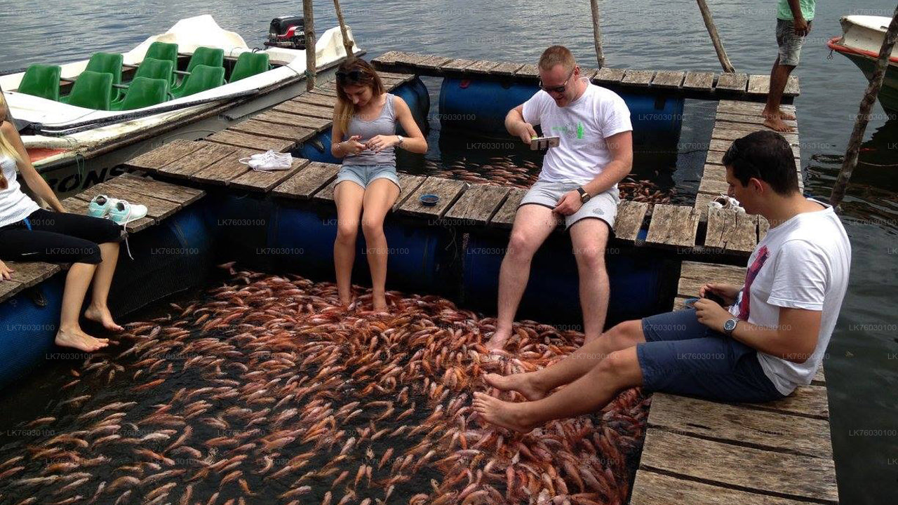 Safari łodzią po rzece Madu