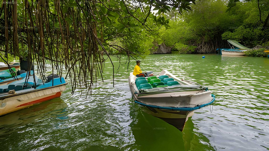 Lagoon Boat Tour from Pasikudah