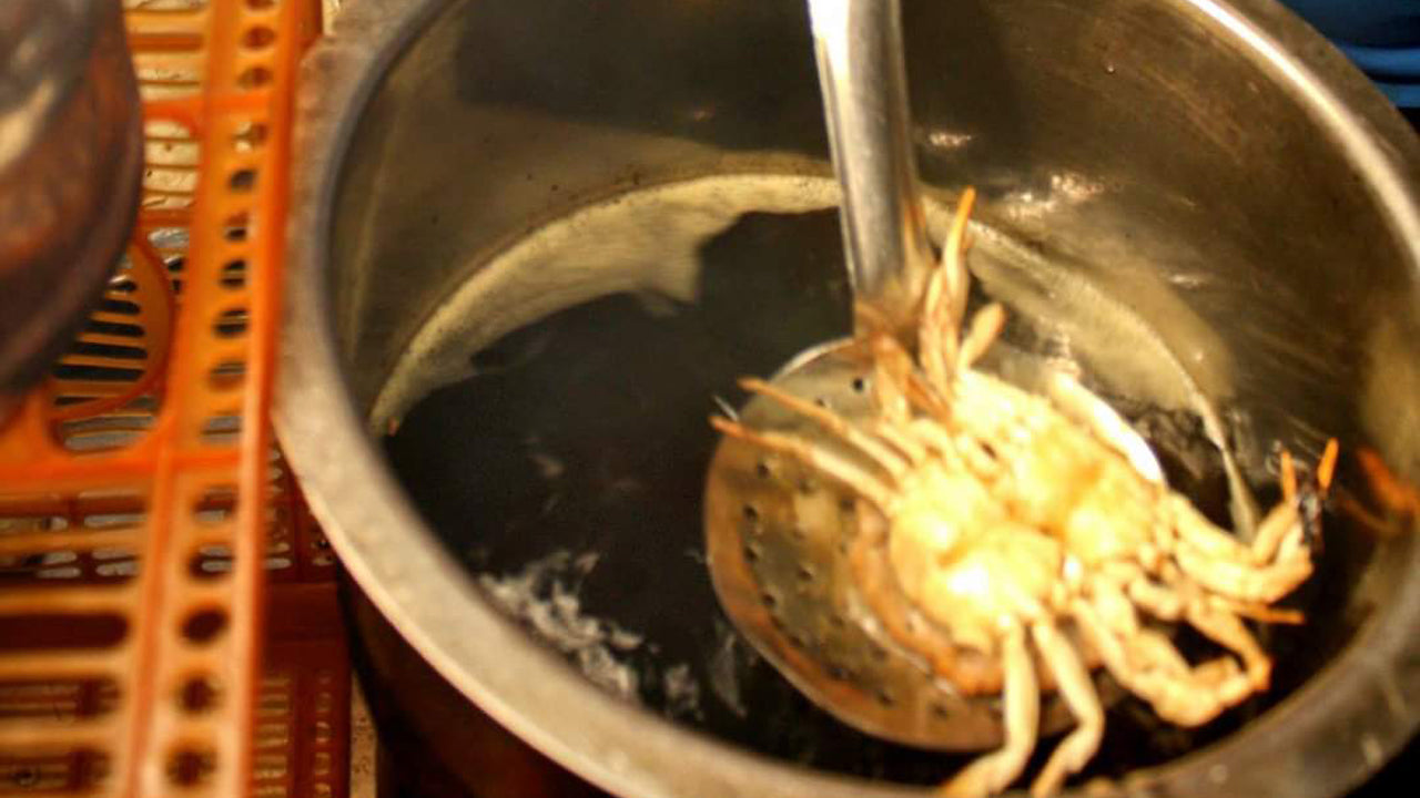 Wycieczka rowerowa Streetfood z Kolombo