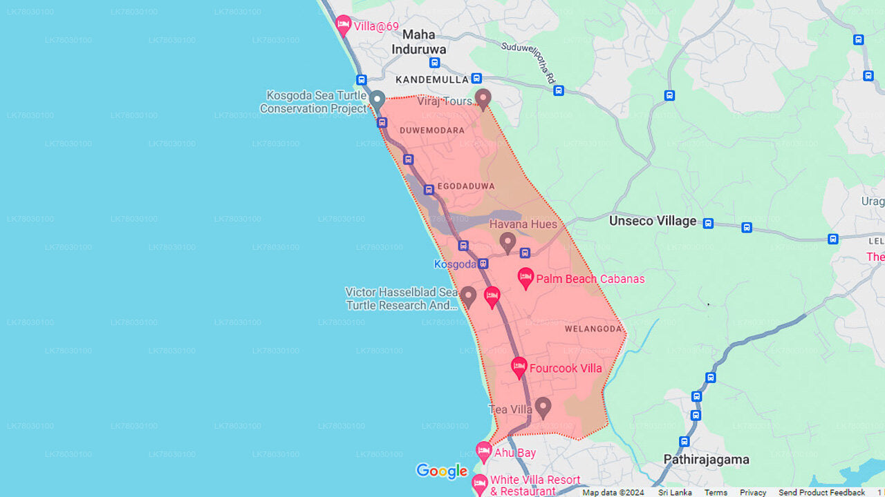 Kurs gotowania kuchni lankijskiej z Bentoty