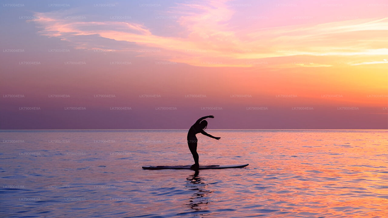 3-godzinny wspólny rejs o zachodzie słońca z Galle